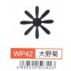 大型打孔器 WP42 大野菊